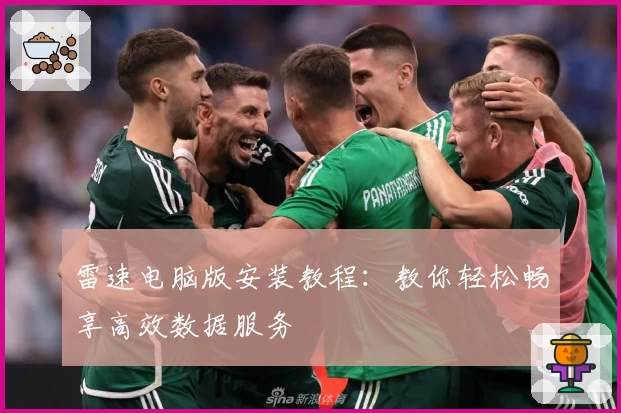 雷速电脑版安装教程：教你轻松畅享高效数据服务
