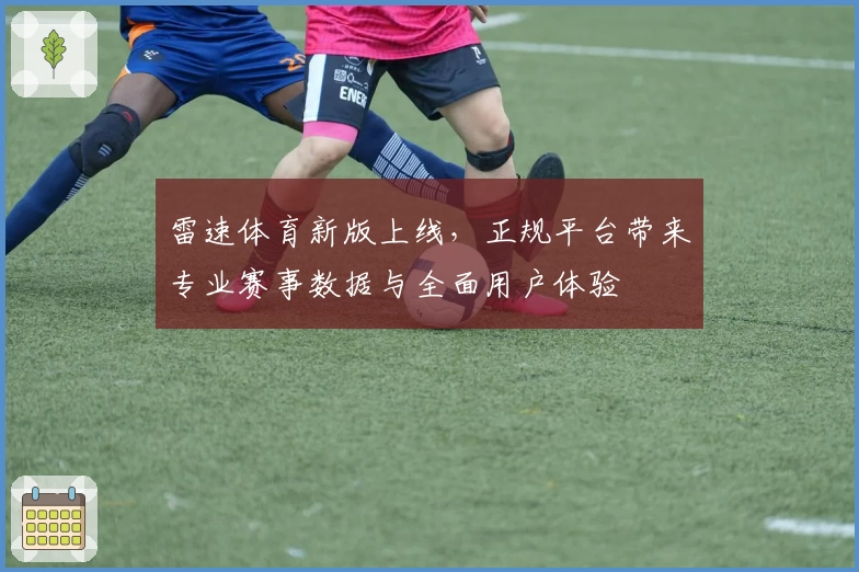 雷速体育新版上线，正规平台带来专业赛事数据与全面用户体验