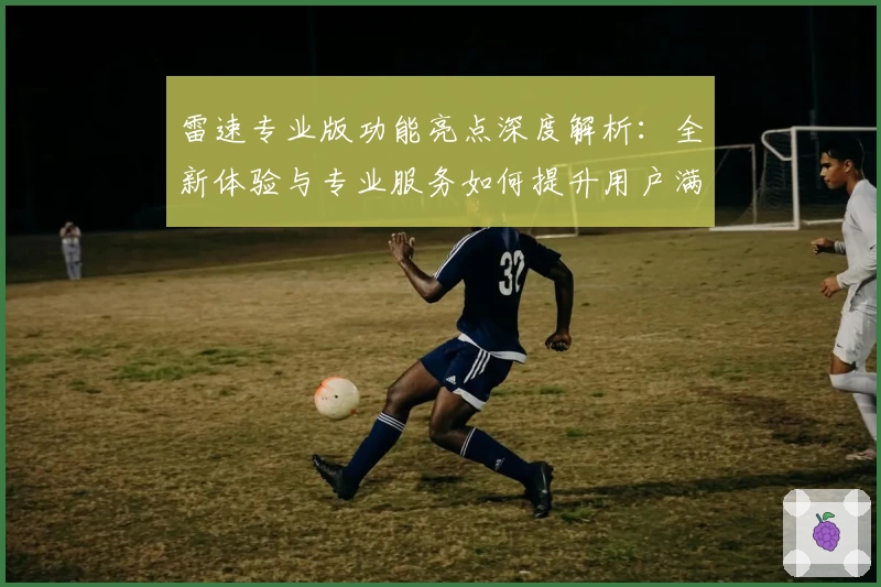 雷速专业版功能亮点深度解析：全新体验与专业服务如何提升用户满意度